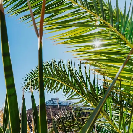 Vithos Seaside Lejlighed 4*