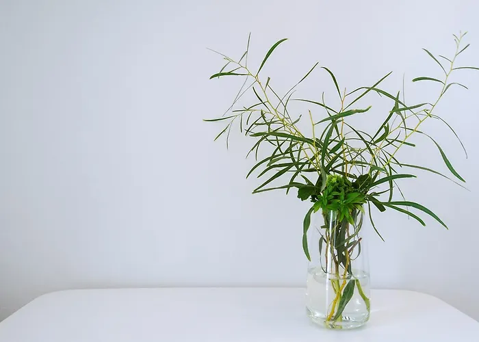 Vithos Seaside 4* Astypálaia